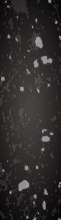 Werbebanner01_ffos2010.gif