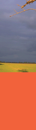 erde02.gif